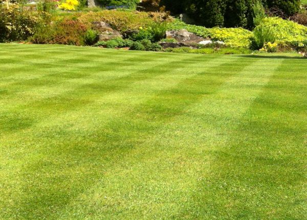 Commercial Grass Cutting in South Jordan
