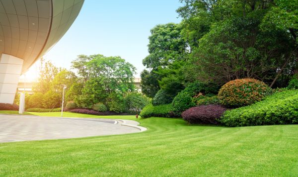 Commercial Lawn Mowing in South Jordan