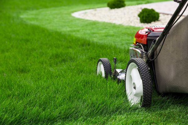 Lawn Cutting Service in South Jordan