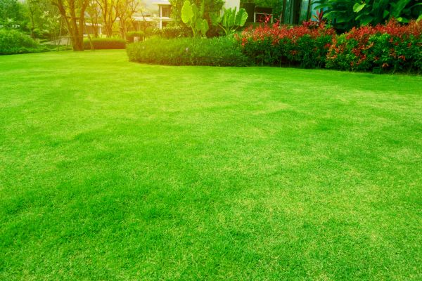 Cost of Grass Maintenance in South Jordan