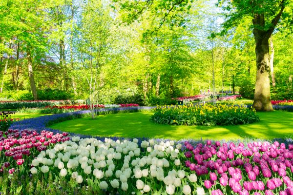 Spring Lawn Care in South Jordan