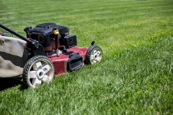 Cost of Routine Lawn Care in South Jordan