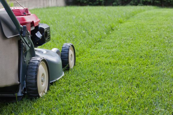 Summer Lawn Care in South Jordan