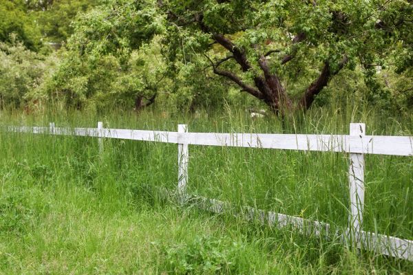 Cost of Fence Line Trimming in South Jordan