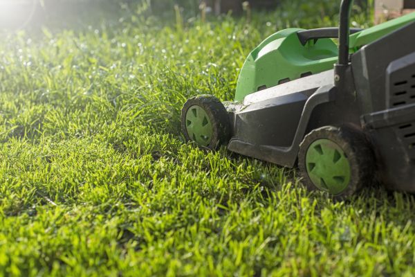 Cost of Yard Trimming in South Jordan