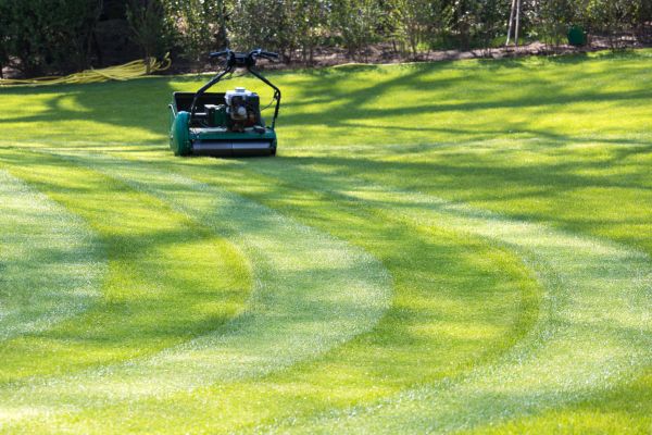 Business Lawn Mowing in South Jordan