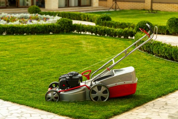 Business Grass Cutting in South Jordan