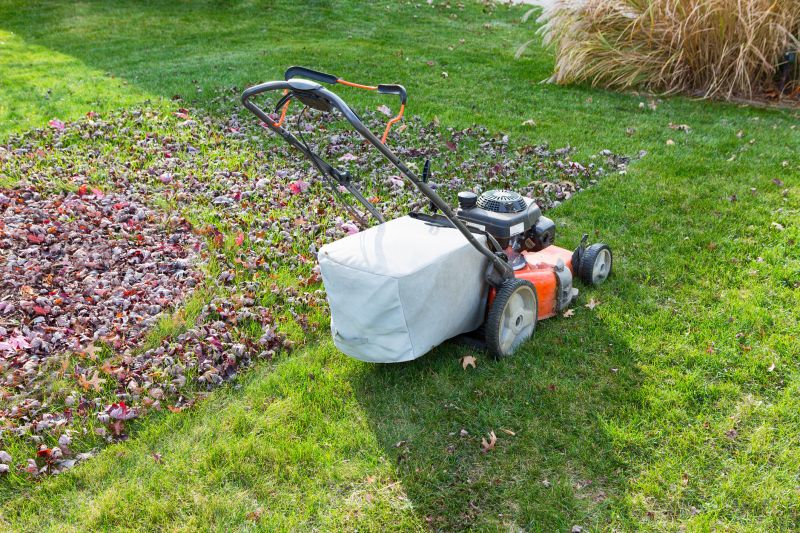 Lawn Preparation Tools