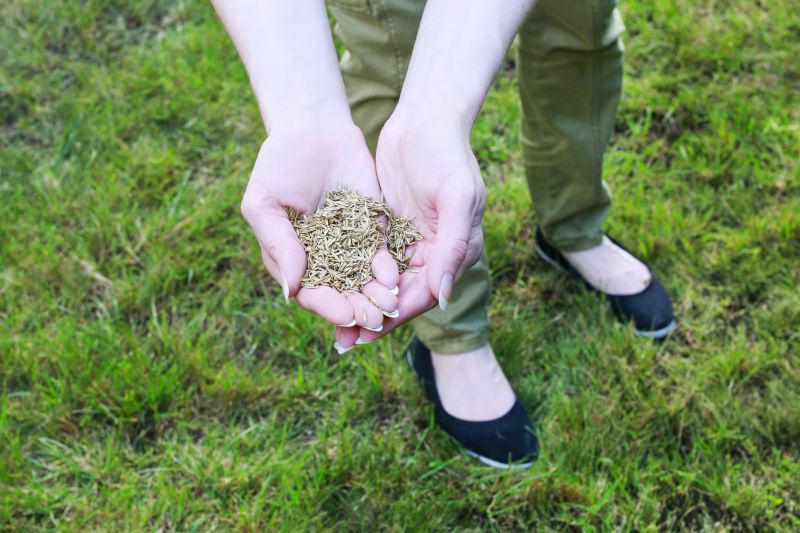 Lawn Health After Cleanup