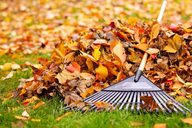 Yard Raking Services